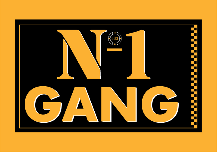 n1gang logo